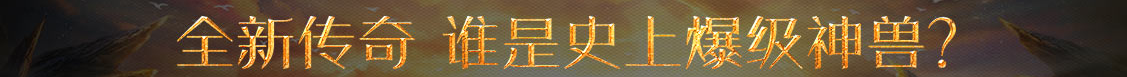 股票行市场网